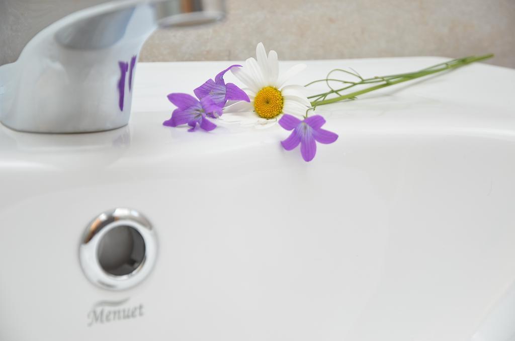 Pensiunea Poezii Alese Valea Drăganului Habitación foto